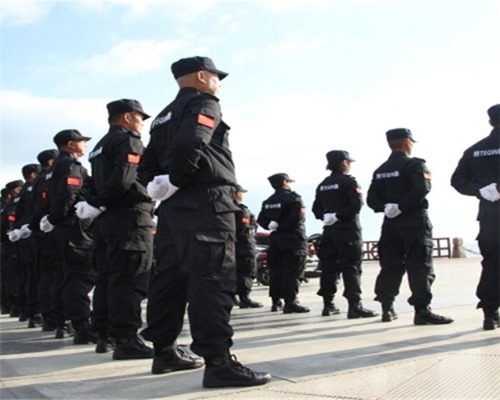 保安顧問及咨詢服務(wù)